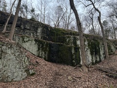 Thamnobryum alleghaniense