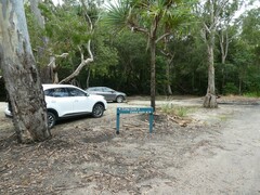Mycena roseilignicola