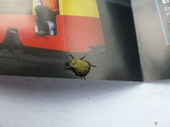 Hoplia