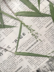 Dichanthelium laxiflorum
