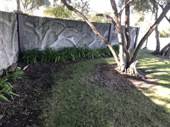 Cryptomarasmius corbariensis