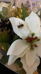 Apis mellifera