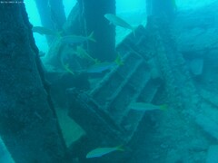 Mulloidichthys vanicolensis