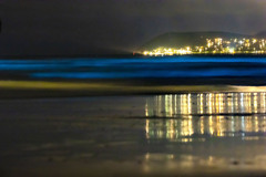 Noctiluca scintillans