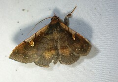 Azeta