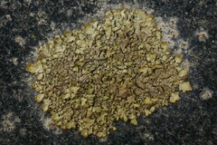 Xanthoparmelia pulla