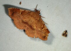 Azeta