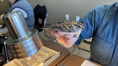 Spizelloides arborea