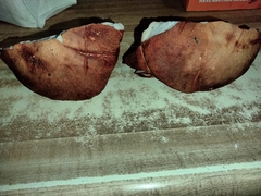 Leccinum manzanitae