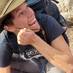 Leptinotarsa haldemani