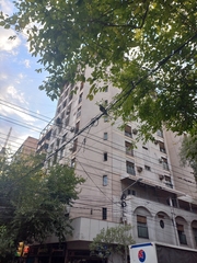 Parabuteo unicinctus