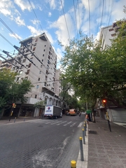 Parabuteo unicinctus