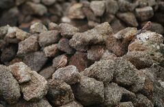 Bucanetes githagineus