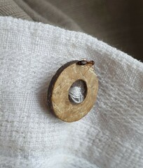 Colobopsis macrocephala