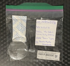 Pseudopithyella minuscula