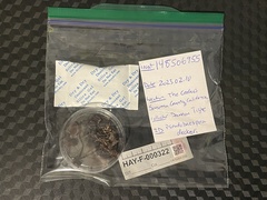 Pseudobaeospora deckeri