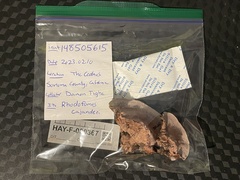 Rhodofomes cajanderi