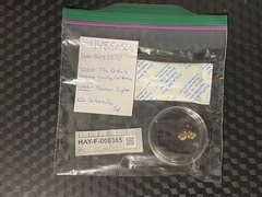 Schenella pityophila