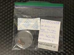 Schenella pityophila