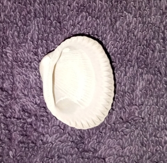 Lunarca ovalis