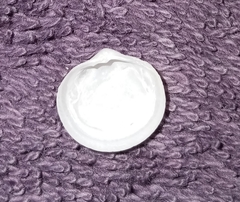 Divalinga quadrisulcata