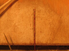 Schizachyrium tenerum