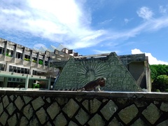 Iguana iguana iguana