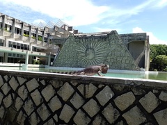 Iguana iguana iguana