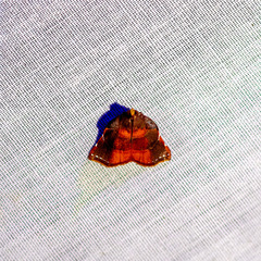 Achrosis