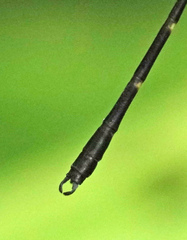 Devadatta