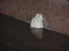 Polypedates megacephalus