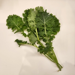 Brassica oleracea acephala