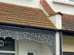 Prunella modularis occidentalis