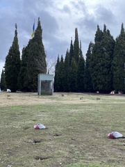 Eolophus roseicapilla