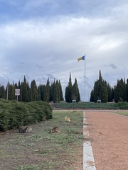 Oryctolagus cuniculus