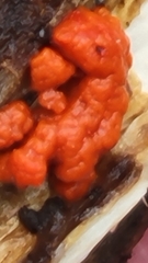 Tulasnella aurantiaca