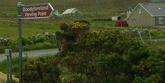 Ulex