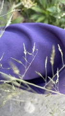 Eragrostis