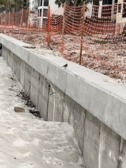 Thryothorus ludovicianus