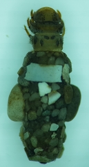 Goeridae