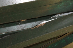 Hemidactylus bowringii