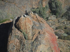 Karusasaurus polyzonus