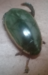 Megadytes