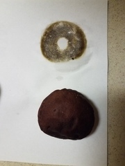 Aureoboletus projectellus