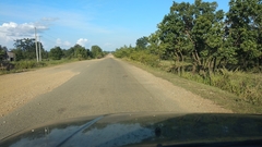 Upupa epops longirostris