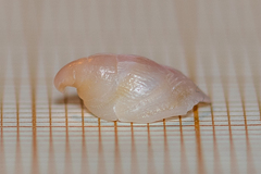 Capulus ungaricus