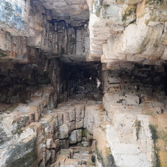 Emballonuridae