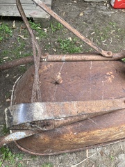 Pachyrhamma acanthocerum