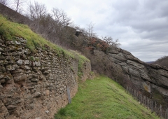 Crossidium squamiferum