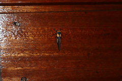 Monosyntaxis holmanhunti